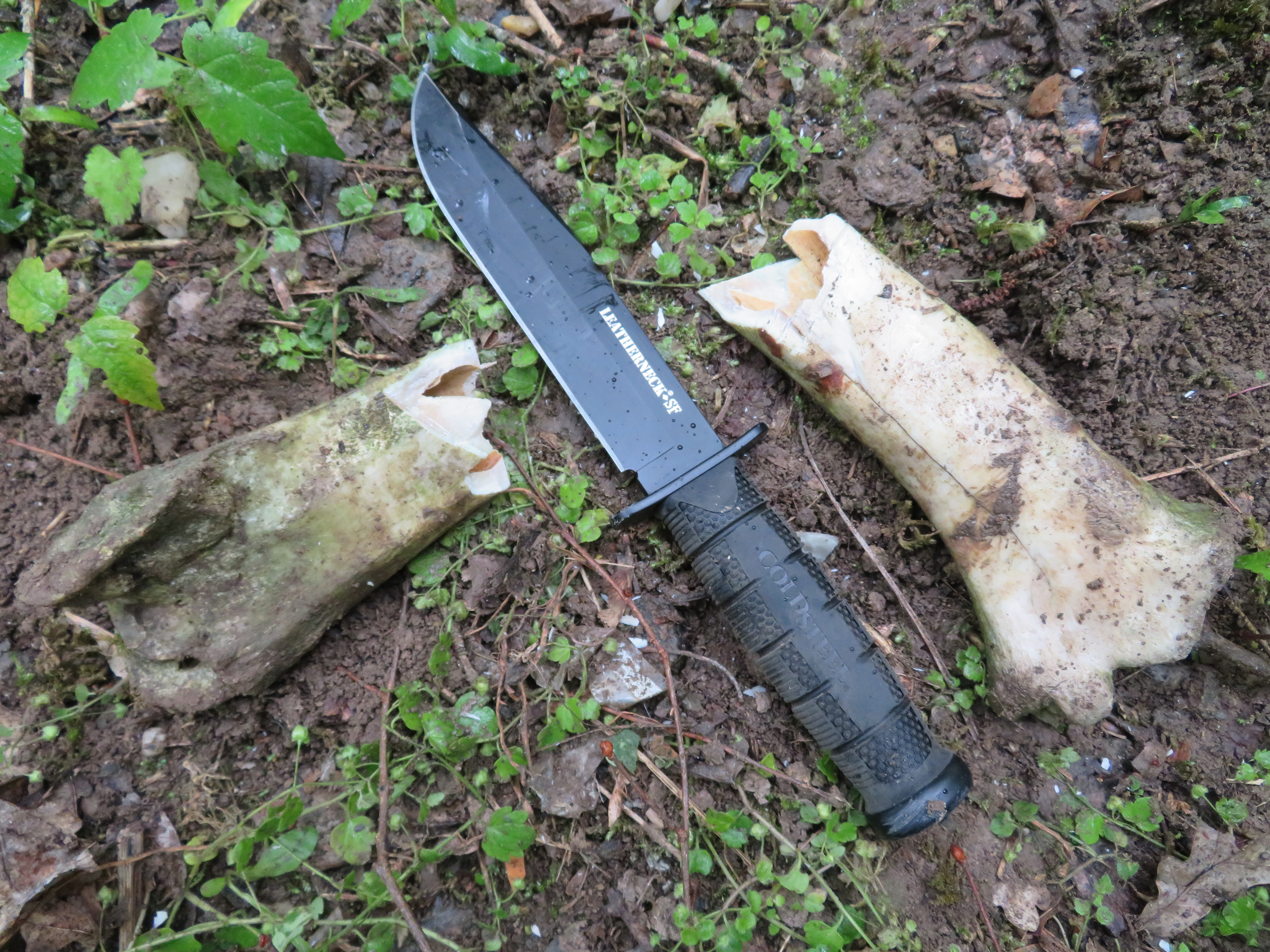 www.cold-steel.cz_S testovaným nožem jsem také bez problémů naštípal a rozsekal několik zvířecích kostí a lebek.